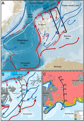 Distribution and Abundances of Planktic Foraminifera and Shelled Pteropods During the Polar Night in the Sea-Ice Covered Northern Barents Sea